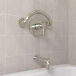 brushed stainless crescent grab bar