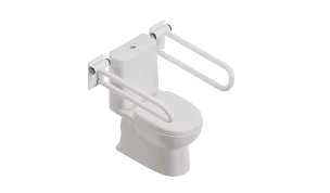 2 PT rails, one on each side of a toilet